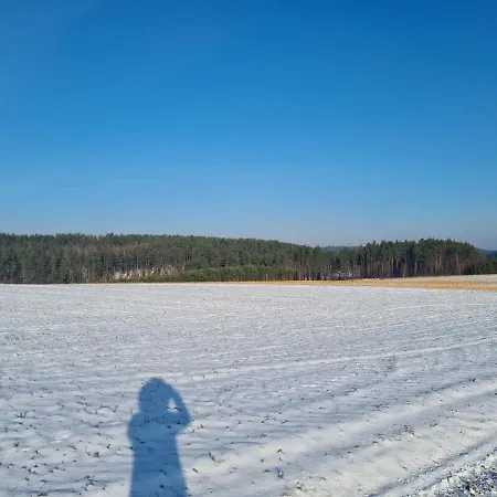 Adam - Kozy 펜션 코시에르지나