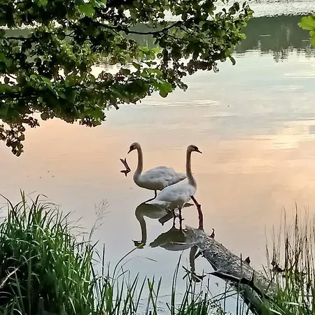 펜션 Adam - Kozy *