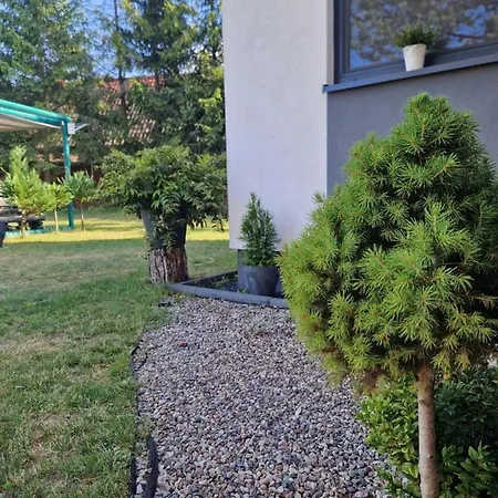 Adam - Kozy 코시에르지나