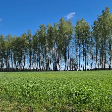 Adam - Kozy * 코시에르지나