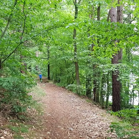 Adam - Kozy 코시에르지나