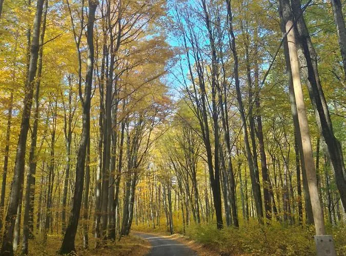 Adam - Kozy 度假居 Kościerzyna