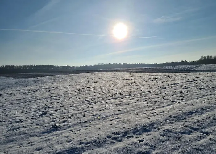 Adam - Kozy * Kościerzyna