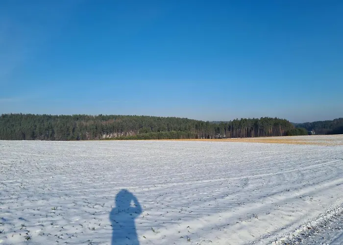 Adam - Kozy 度假居 Kościerzyna