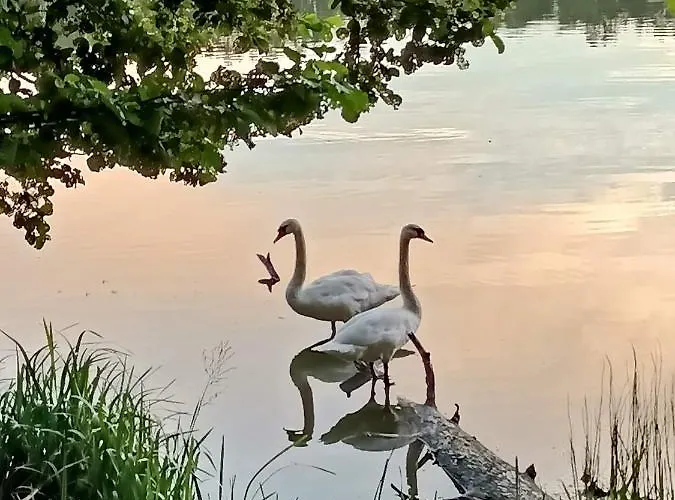 Σπίτι διακοπών Adam - Kozy *