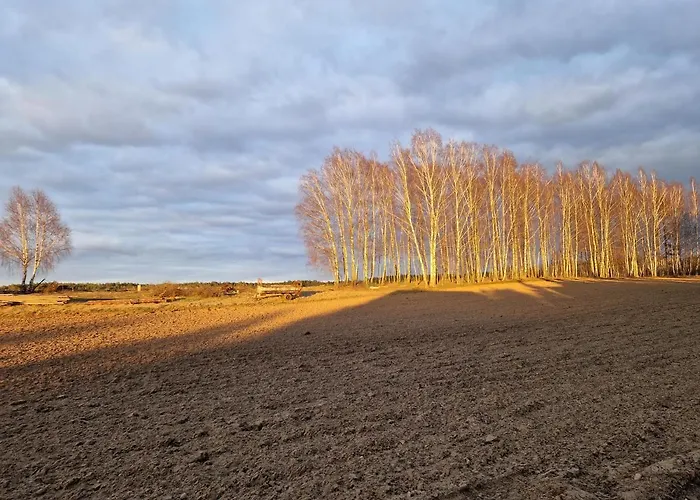 Adam - Kozy 度假居