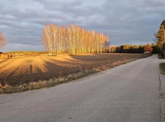 度假居 Adam - Kozy