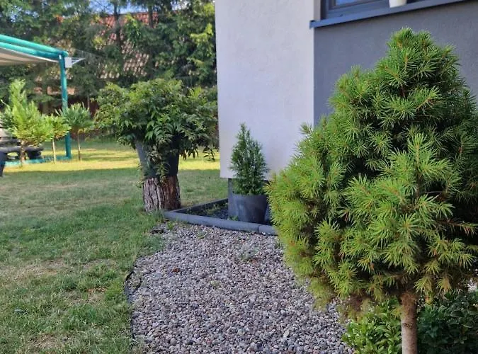 Adam - Kozy Kościerzyna