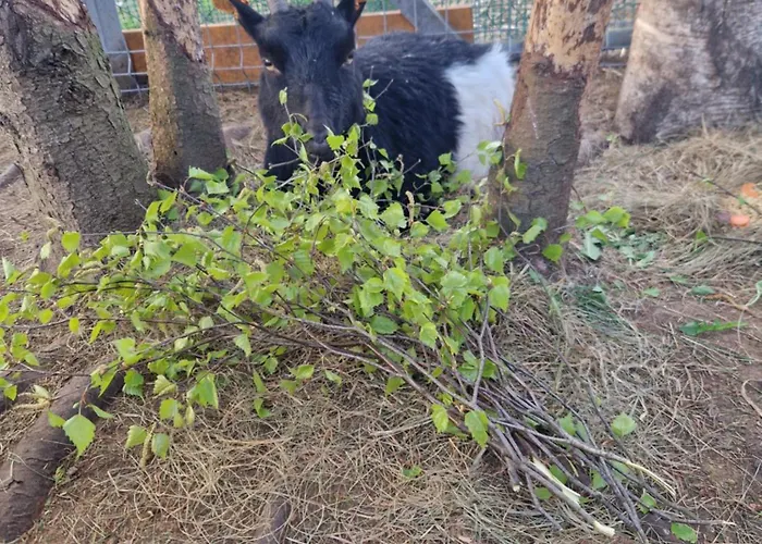 Σπίτι διακοπών Adam - Kozy