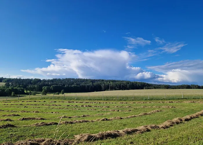 Adam - Kozy * Kościerzyna