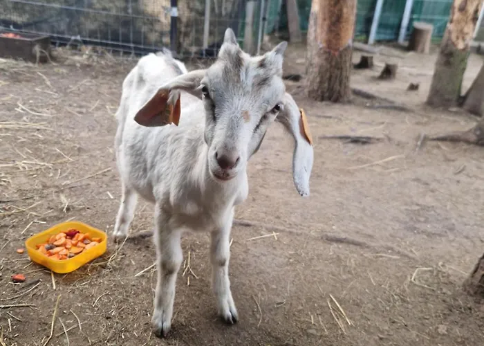 Adam - Kozy Σπίτι διακοπών