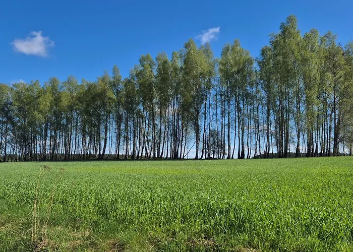 Adam - Kozy * Kościerzyna