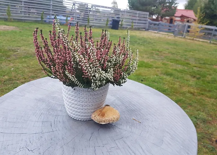 Adam - Kozy 度假居 Kościerzyna